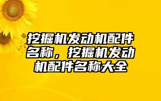 挖掘機發(fā)動機配件名稱，挖掘機發(fā)動機配件名稱大全