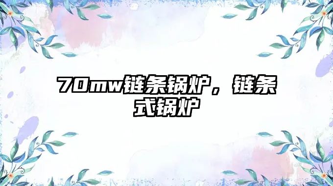 70mw鏈條鍋爐，鏈條式鍋爐