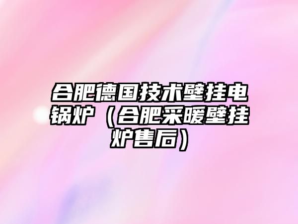 合肥德國技術(shù)壁掛電鍋爐（合肥采暖壁掛爐售后）