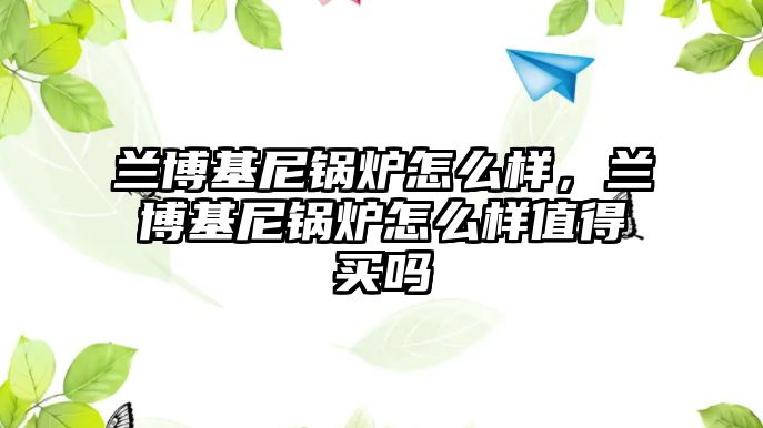 蘭博基尼鍋爐怎么樣，蘭博基尼鍋爐怎么樣值得買嗎