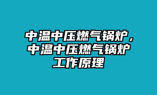 中溫中壓燃?xì)忮仩t，中溫中壓燃?xì)忮仩t工作原理