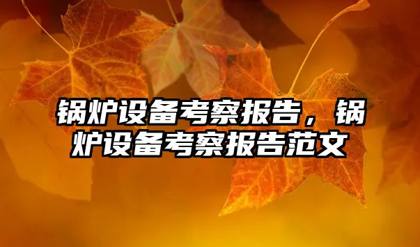 鍋爐設(shè)備考察報告，鍋爐設(shè)備考察報告范文