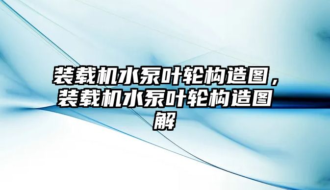 裝載機水泵葉輪構(gòu)造圖，裝載機水泵葉輪構(gòu)造圖解