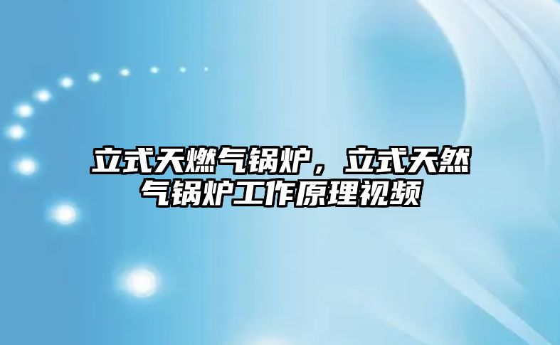 立式天燃?xì)忮仩t，立式天然氣鍋爐工作原理視頻