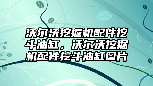 沃爾沃挖掘機配件挖斗油缸，沃爾沃挖掘機配件挖斗油缸圖片