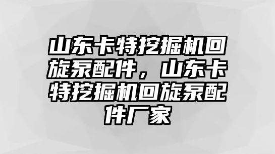 山東卡特挖掘機(jī)回旋泵配件，山東卡特挖掘機(jī)回旋泵配件廠家