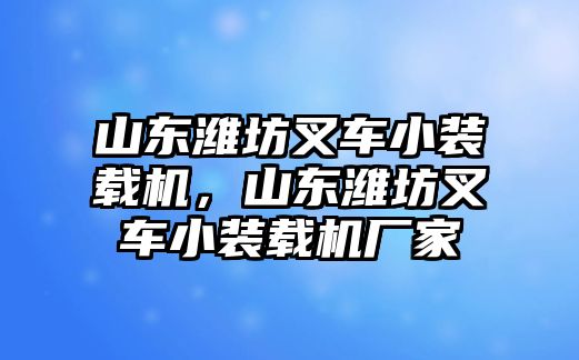 山東濰坊叉車小裝載機(jī)，山東濰坊叉車小裝載機(jī)廠家