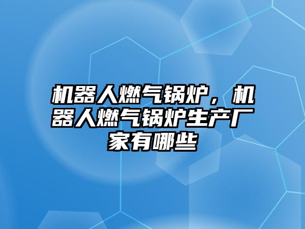 機器人燃?xì)忮仩t，機器人燃?xì)忮仩t生產(chǎn)廠家有哪些