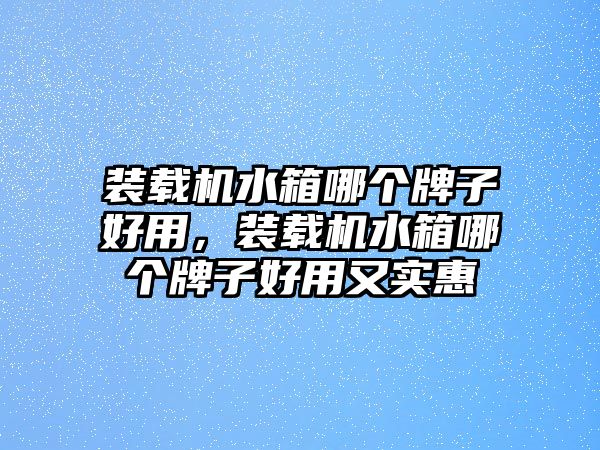 裝載機水箱哪個牌子好用，裝載機水箱哪個牌子好用又實惠