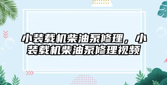 小裝載機(jī)柴油泵修理，小裝載機(jī)柴油泵修理視頻