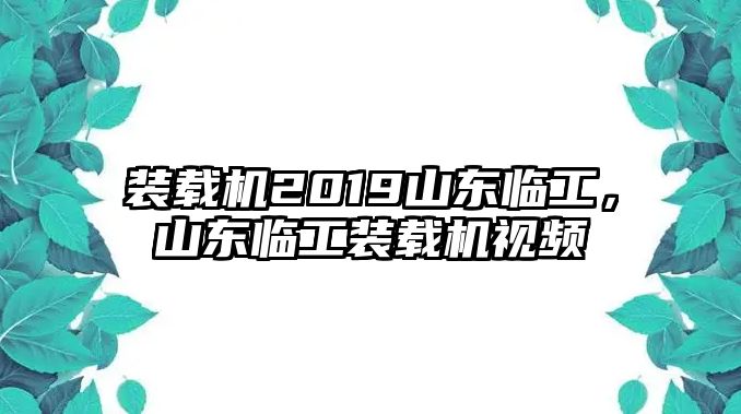 裝載機2019山東臨工，山東臨工裝載機視頻