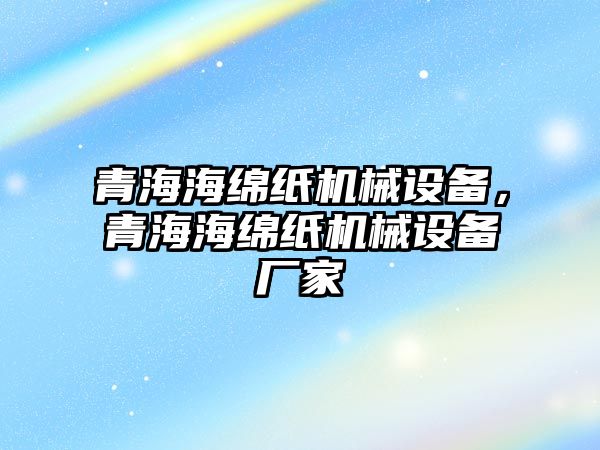 青海海綿紙機械設備，青海海綿紙機械設備廠家