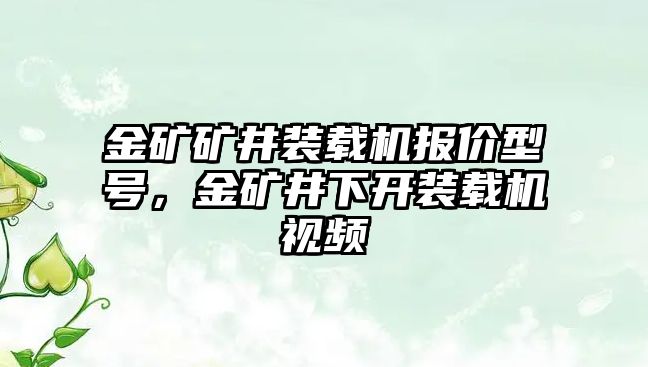 金礦礦井裝載機(jī)報(bào)價(jià)型號(hào)，金礦井下開裝載機(jī)視頻