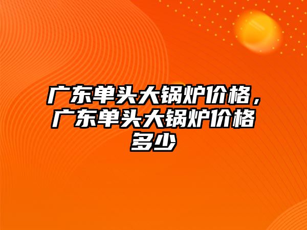 廣東單頭大鍋爐價格，廣東單頭大鍋爐價格多少