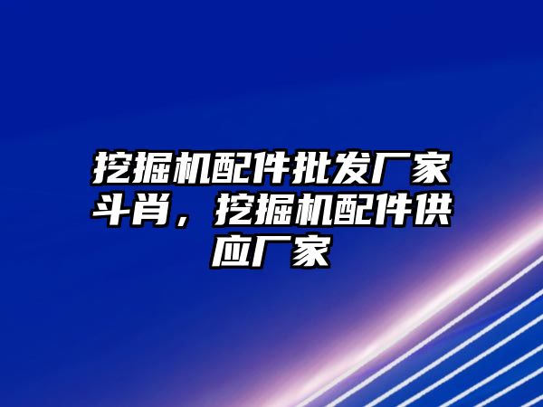 挖掘機配件批發(fā)廠家斗肖，挖掘機配件供應(yīng)廠家