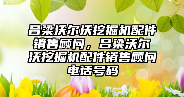 呂梁沃爾沃挖掘機配件銷售顧問，呂梁沃爾沃挖掘機配件銷售顧問電話號碼