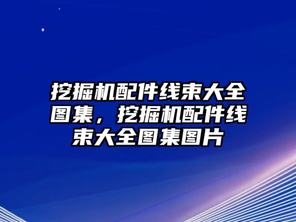 挖掘機配件線束大全圖集，挖掘機配件線束大全圖集圖片