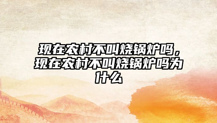 現(xiàn)在農(nóng)村不叫燒鍋爐嗎，現(xiàn)在農(nóng)村不叫燒鍋爐嗎為什么