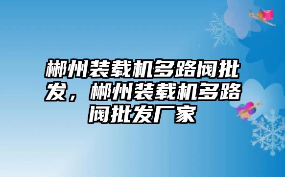 郴州裝載機(jī)多路閥批發(fā)，郴州裝載機(jī)多路閥批發(fā)廠家