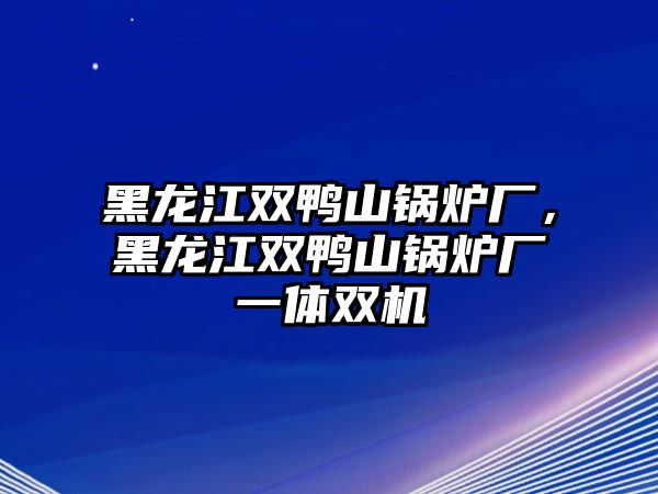 黑龍江雙鴨山鍋爐廠，黑龍江雙鴨山鍋爐廠一體雙機(jī)