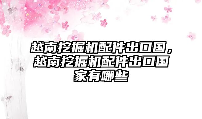 越南挖掘機(jī)配件出口國(guó)，越南挖掘機(jī)配件出口國(guó)家有哪些