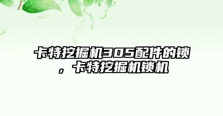 卡特挖掘機305配件的鎖，卡特挖掘機鎖機