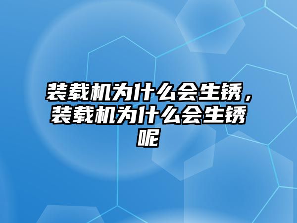 裝載機為什么會生銹，裝載機為什么會生銹呢