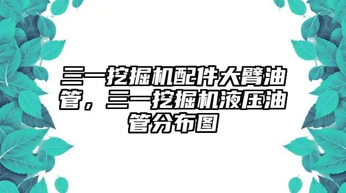 三一挖掘機(jī)配件大臂油管，三一挖掘機(jī)液壓油管分布圖