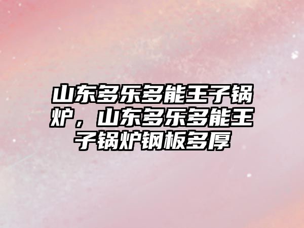 山東多樂多能王子鍋爐，山東多樂多能王子鍋爐鋼板多厚