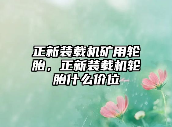 正新裝載機(jī)礦用輪胎，正新裝載機(jī)輪胎什么價(jià)位