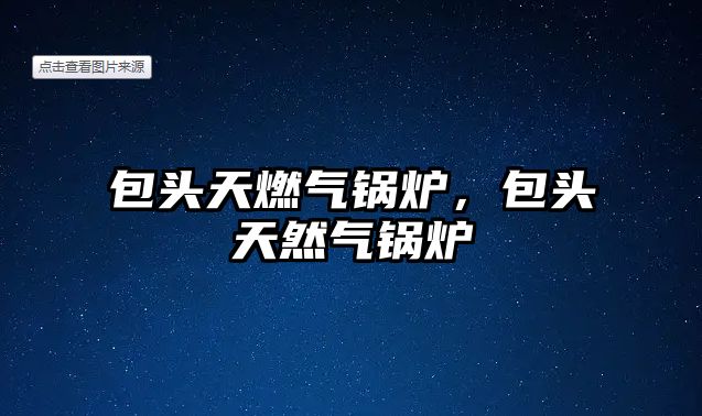 包頭天燃?xì)忮仩t，包頭天然氣鍋爐