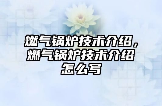 燃?xì)忮仩t技術(shù)介紹，燃?xì)忮仩t技術(shù)介紹怎么寫