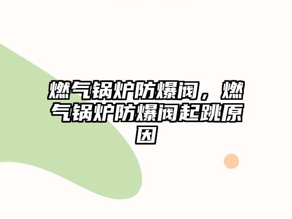 燃?xì)忮仩t防爆閥，燃?xì)忮仩t防爆閥起跳原因