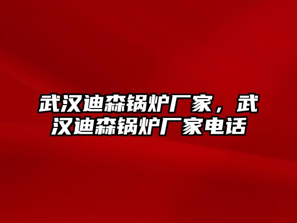 武漢迪森鍋爐廠家，武漢迪森鍋爐廠家電話