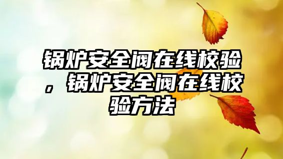 鍋爐安全閥在線校驗(yàn)，鍋爐安全閥在線校驗(yàn)方法