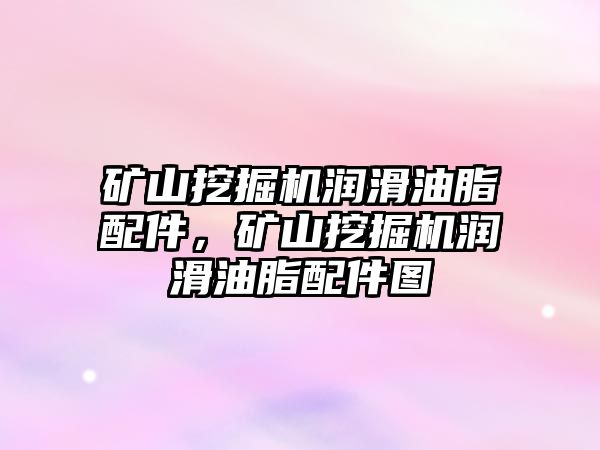 礦山挖掘機潤滑油脂配件，礦山挖掘機潤滑油脂配件圖