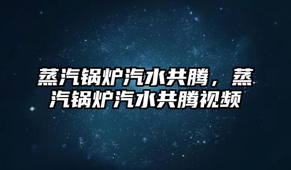 蒸汽鍋爐汽水共騰，蒸汽鍋爐汽水共騰視頻