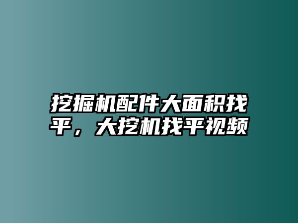 挖掘機(jī)配件大面積找平，大挖機(jī)找平視頻