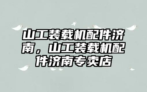 山工裝載機(jī)配件濟(jì)南，山工裝載機(jī)配件濟(jì)南專賣店