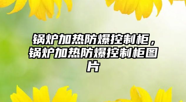 鍋爐加熱防爆控制柜，鍋爐加熱防爆控制柜圖片