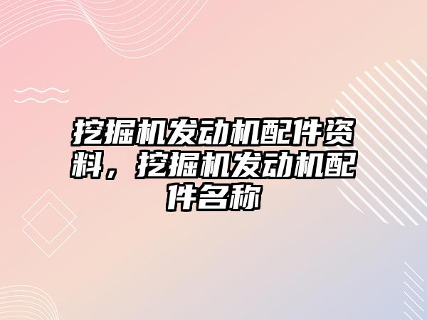 挖掘機發(fā)動機配件資料，挖掘機發(fā)動機配件名稱