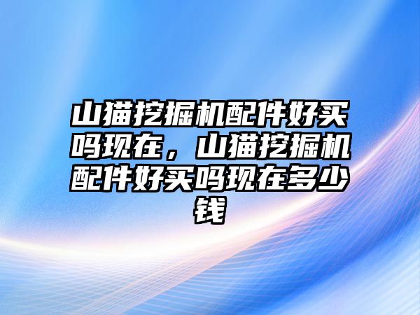 山貓挖掘機配件好買嗎現(xiàn)在，山貓挖掘機配件好買嗎現(xiàn)在多少錢