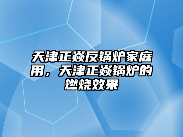 天津正焱反鍋爐家庭用，天津正焱鍋爐的燃燒效果