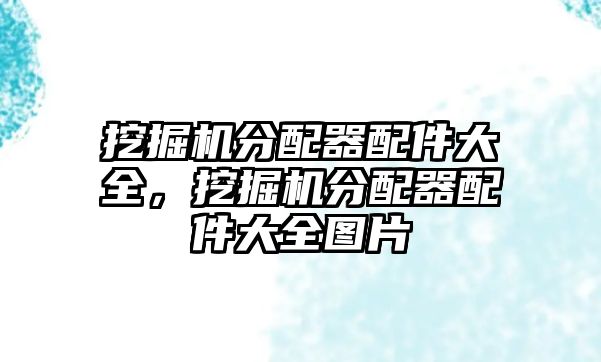 挖掘機(jī)分配器配件大全，挖掘機(jī)分配器配件大全圖片