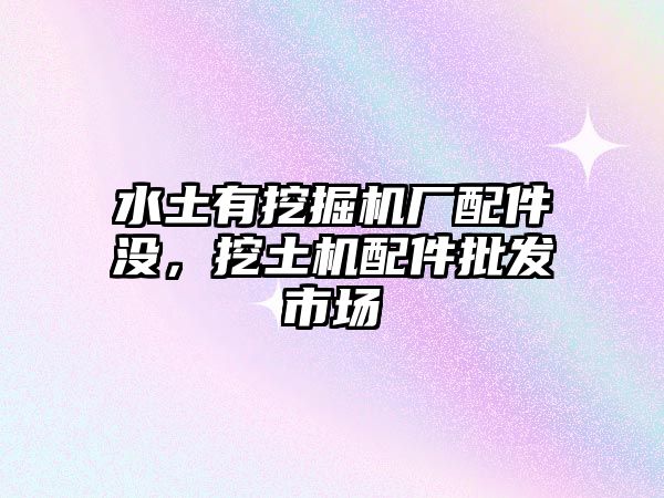 水土有挖掘機廠配件沒，挖土機配件批發(fā)市場