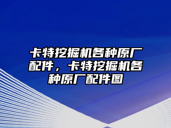 卡特挖掘機(jī)各種原廠配件，卡特挖掘機(jī)各種原廠配件圖