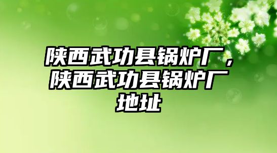 陜西武功縣鍋爐廠，陜西武功縣鍋爐廠地址