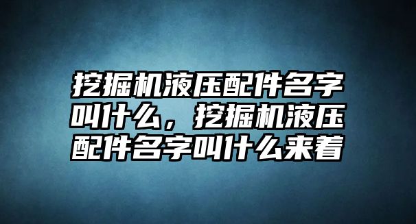 挖掘機(jī)液壓配件名字叫什么，挖掘機(jī)液壓配件名字叫什么來(lái)著