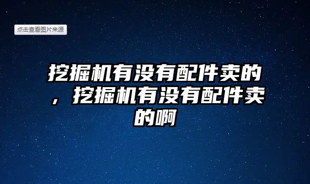 挖掘機有沒有配件賣的，挖掘機有沒有配件賣的啊