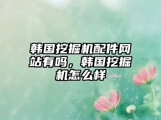 韓國挖掘機(jī)配件網(wǎng)站有嗎，韓國挖掘機(jī)怎么樣